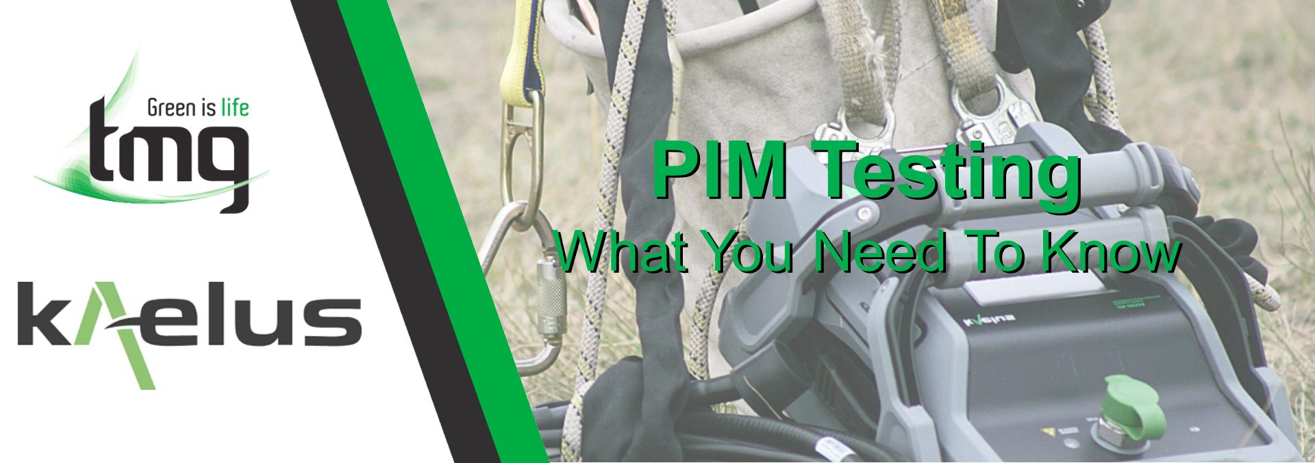 You are currently viewing PIM Testing Guide – What You Need To Know